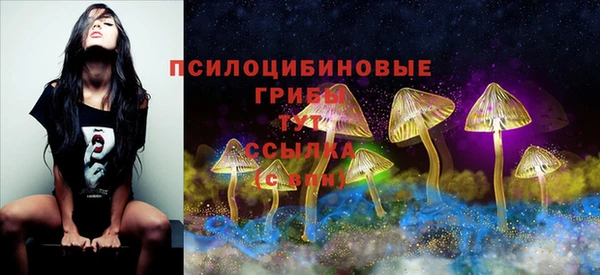 ешки Алексин