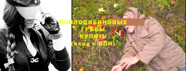 прущие грибы Алексеевка