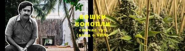 a pvp Армянск
