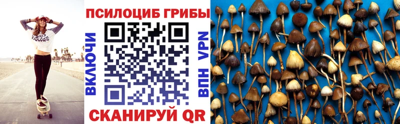 закладка  Краснослободск  Псилоцибиновые грибы Psilocybe 